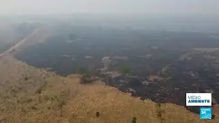 ¿Por qué cada año los incendios forestales arrasan en Brasil y Bolivia?