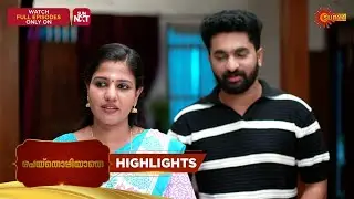 Peythozhiyathe - Highlights of the day | 29 Jan 2026 | Malayalam Serial | Surya TV