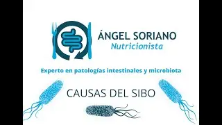 Causas del SIBO