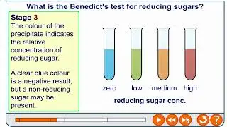Тест Бенедикта на восстанавливающие и невосстанавливающие сахара