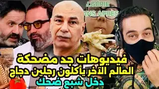 القجع روشيرشي في الجزائر 🤣 ملك توقعات المصري يبردع 🤣 العالم الآخر هبلو 🤣 تضحك تخسر 🤣