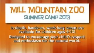 Mill Mountain Zoo - Summer Activities 2013