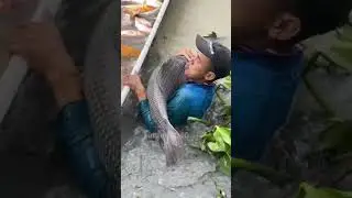 figh trap idea #fishing #fish #trap #vlog #vlogs #funny #simran4040 #viral #trending #tiktok
