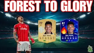 NEW RIVALS WEEK! 📈 Grinding the Divisions before FUT Champs starts!