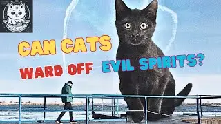 Feline Guardians: Can Cats Sense and Repel Evil Spirits? Will Cats Protect Humans? - by Meow Cat