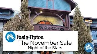 Relive the Fasig-Tipton November Sale