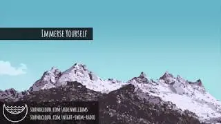 Aiden Williams - Immerse Yourself | Future Bass