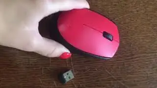 Обзор на Беспроводная мышь Logitech M171 из сулпак