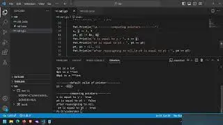 [5] Understanding POINTERS in GO | what are pointers