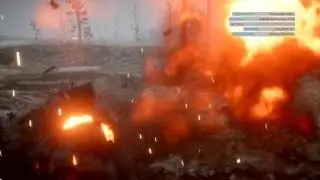 Horse roadkill