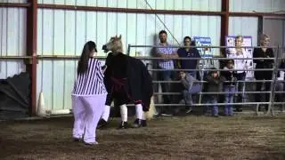 Horse Suit