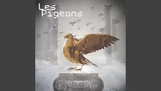 Les pigeons