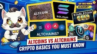 Altcoins vs Altchains: Crypto Basics You Must Know⚡️CAT GOLD MINER ACADEMY