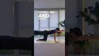 Core Activation Without Crunches #yoga #shorts #yogacore #functionalyoga