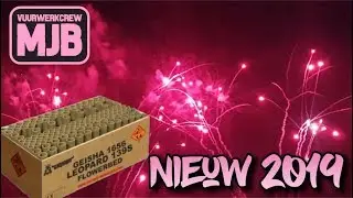 LEOPARD BOX 139S  - VUURWERKMANIA NIEUW 2019 2020