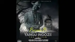 Beezman B - Shaina Nekwaunobva ( Chipoko chaSauro) Yangu ingozi album 2024 - official audio