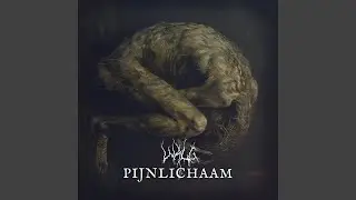 Pijnlichaam