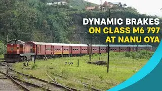 Dynamic brakes on Class M6 797 at Nanu Oya with 1008