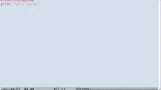 Running python code in a shell, also how to run scripts without calling python