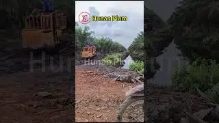 5 ton crawler dumper transport FFB in swamp area #miniloader #automobile #crawlerdumper