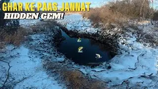 😱 Hidden Gem Near My House | Salt Marsh Trails & Fish Pond Tour