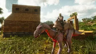 I Got My Starter Base Up And Running! Ark Survival Ascended