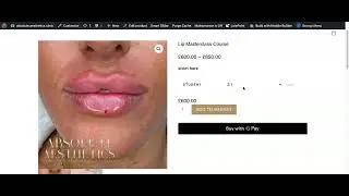 aboslute edit courses