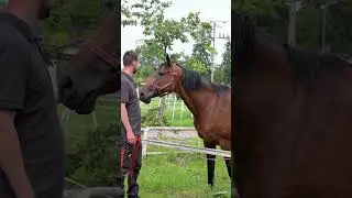 Spędź z nami dzień z życia handlowca!