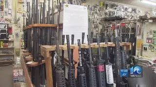 Norfolk city council to hear pro-gun group&rsquo;s proposal to prohibit local gun law changes