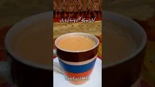 Chai Shayari Status | Chai Poetry in Urdu #chaipoetry #poetry #youtubeshorts