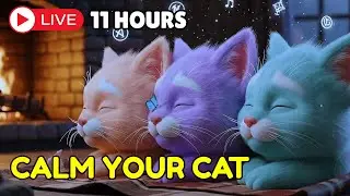 Calming Music for Cats With Anxiety 🎵 Soothing Sounds For Deep Sleep, Healing Insomnia, Relaxing #15