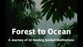 🎁 UNREPEATABLE CHRISTMAS GIFT! 🎁 Forest to Ocean A Journey of 10 Healing Guided Meditations