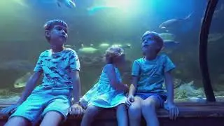 Top Fun Activities for Kids in Dubai