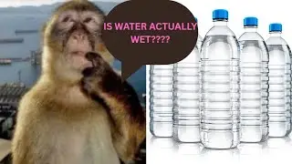 Is Water Wet? - Explained by a Flat Earther