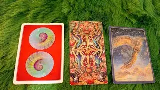 THỨ TƯ NGÀY 21/1/2026 CỦA BẠN SẼ THẾ NÀO? 