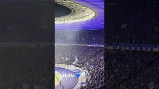 HaHoHe HERTHA BSC!! 💙🤍 #hahohe #herthabsc #hertha #hsv #stadionvlog #bundesliga #berlin