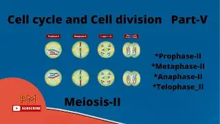 Meiosis-II | Part-V | Cell cycle and cell division | PM Biology