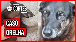 LENIO STRECK FALA DOS PROTESTOS POR ORELHA: 