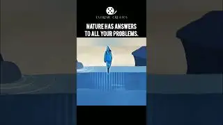 How nature inspired science | Bullet train Evolution #bullettrains #birds