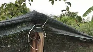 ngày 22 tháng 1, 2026