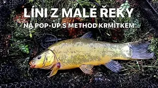LÍNI Z MALÉ ŘEKY ORLICE S METHOD KRMÍTKEM NA POP-UP SPORTCARP MORUŠE ČESNEK, KRMÍM SONUBAITS WORM