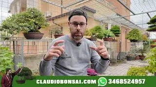 QUALE SPECIE DI ACERO ACQUISTARE?