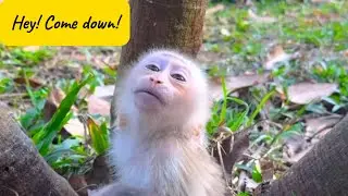 Big Brother Climbs Up – Little Brother Left Behind!