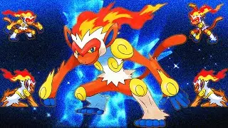 DPP Infernape: what happened?
