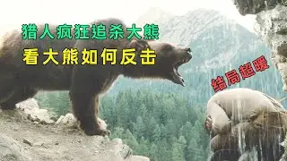 结局超暖，猎人疯狂追杀巨熊，大熊做法却让猎人唏嘘