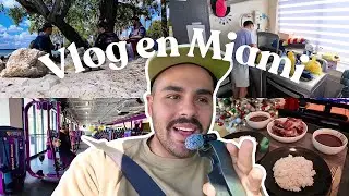 Nos vamos de MIAMI nuevamente 🇺🇸| No conociamos esta PLAYA de Key Biscayne | Vlog #4