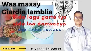 WAA MAXAY CUDURKA GIARDIA LAMBIA|| SIDA LAGU GARTO||SIDA LOO DAWEYO/ DR ZACHARIE OSMAN.