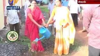 MLA Arimilli RadhaKrishna Plants Saplings at Tanuku