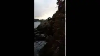 balık top