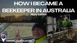 HOW I BECAME A BEEKEEPER IN AUSTRALIA (PINOY EDITION) | Trainings, Requirements, and Expenses